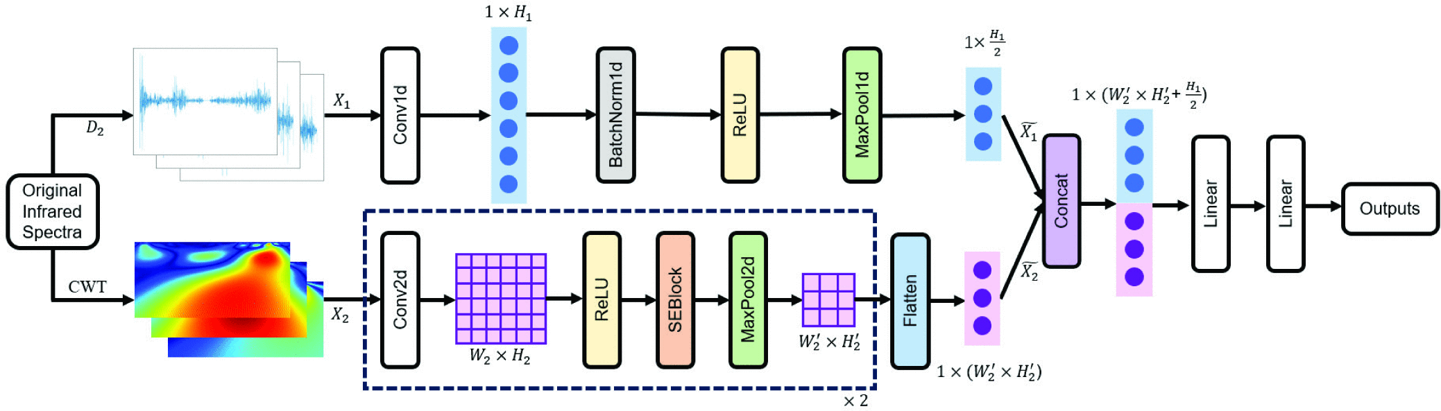 Overall architecture of FTIR-Net. The proposed framework consists of two separate branches. The above branch takes sequential 1D spectra as input, and the below one is designed to process the spectral image provided by CWT.