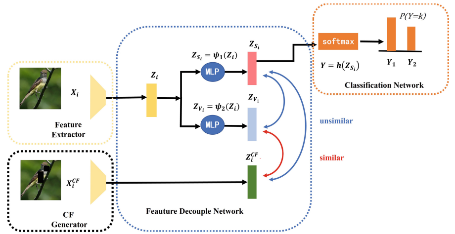 Counterfactual contrastive learning framework for fine-grained image classification